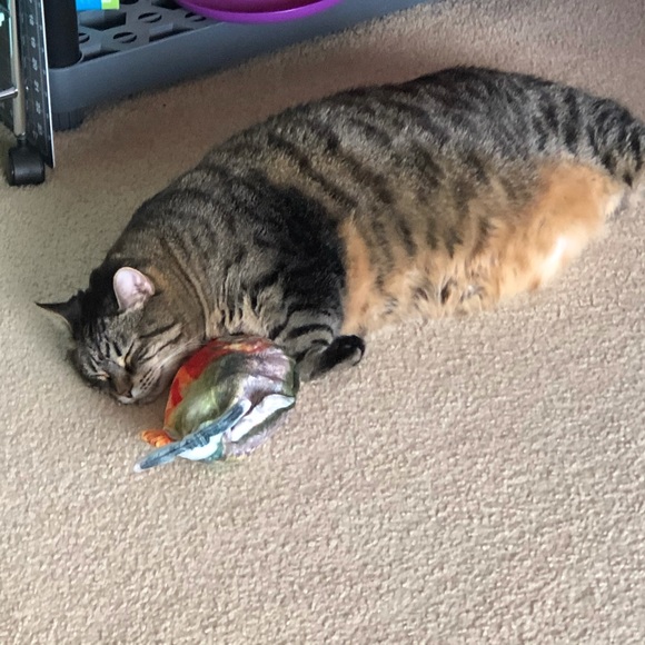 Meet your Posher, Jared - Picture 2 of 5